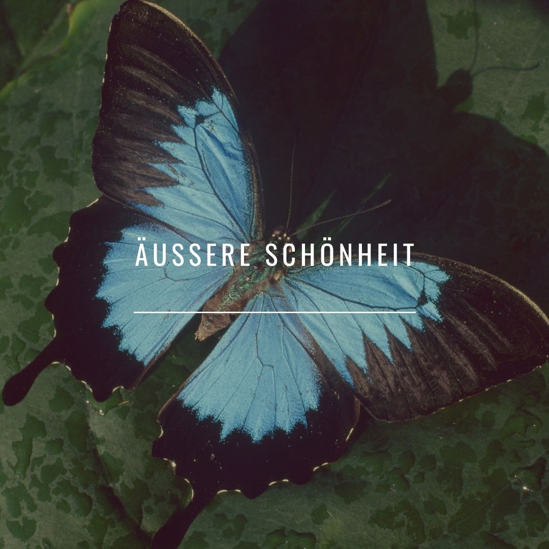 Äußere Schönheit