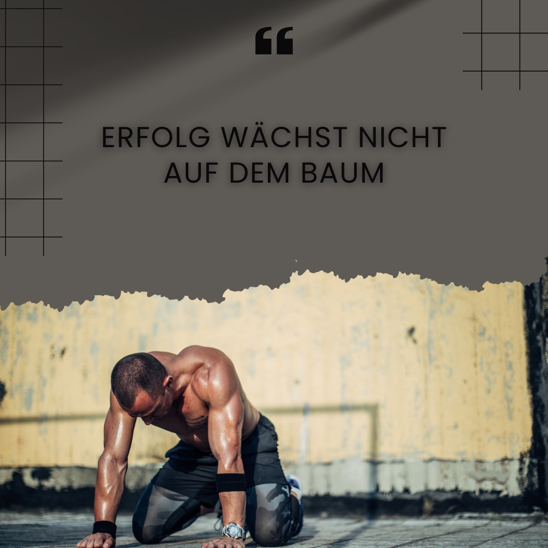 Erfolg wächst nicht auf dem Baum